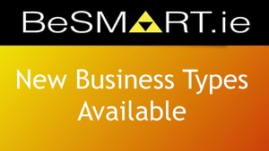BeSMART.ie New Business Types